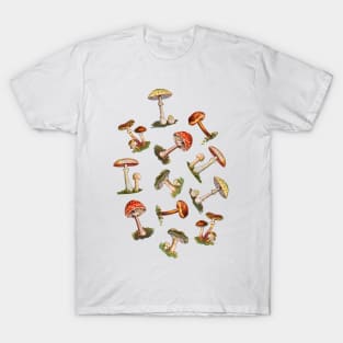 Mushroom Parade T-Shirt